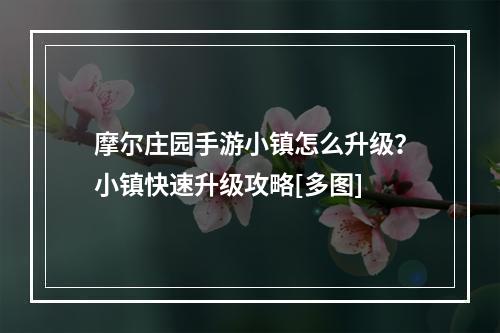 摩尔庄园手游小镇怎么升级？小镇快速升级攻略[多图]