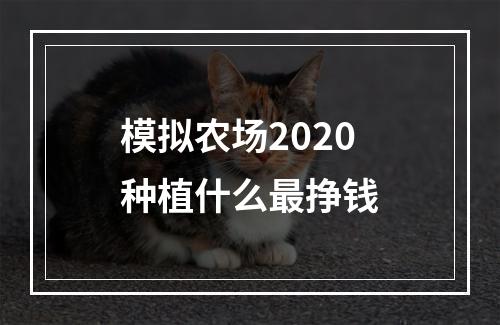 模拟农场2020种植什么最挣钱