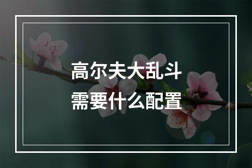 高尔夫大乱斗需要什么配置