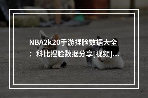 NBA2k20手游捏脸数据大全：科比捏脸数据分享[视频][多图]