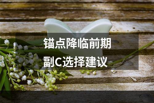 锚点降临前期副C选择建议