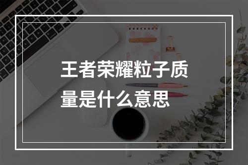 王者荣耀粒子质量是什么意思