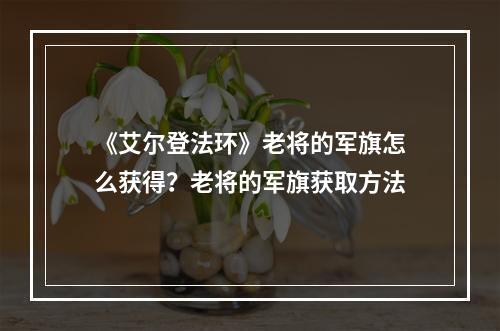 《艾尔登法环》老将的军旗怎么获得？老将的军旗获取方法