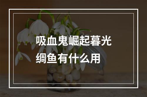 吸血鬼崛起暮光绸鱼有什么用