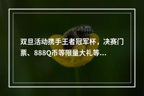 双旦活动携手王者冠军杯，决赛门票、888Q币等限量大礼等你秒杀！