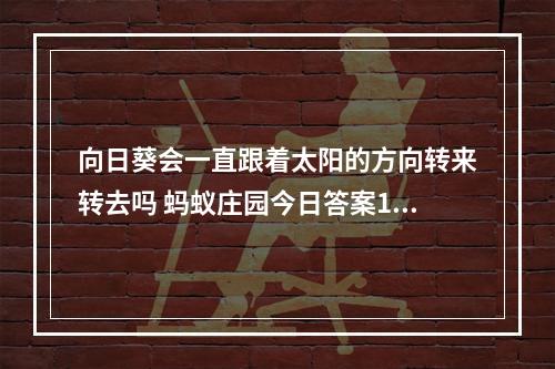 向日葵会一直跟着太阳的方向转来转去吗 蚂蚁庄园今日答案10月21日