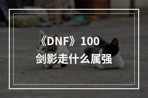 《DNF》100剑影走什么属强