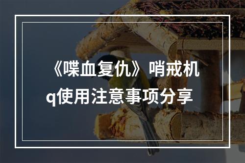 《喋血复仇》哨戒机q使用注意事项分享