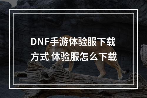 DNF手游体验服下载方式 体验服怎么下载