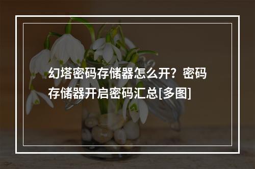 幻塔密码存储器怎么开？密码存储器开启密码汇总[多图]