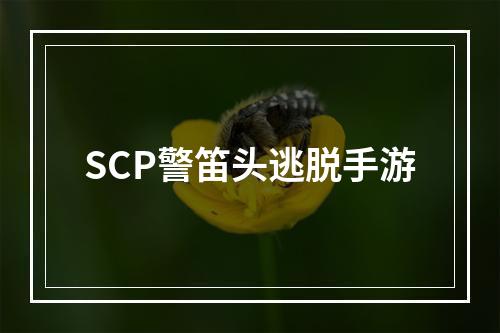 SCP警笛头逃脱手游