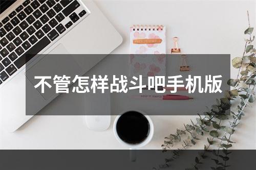 不管怎样战斗吧手机版