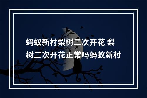 蚂蚁新村梨树二次开花 梨树二次开花正常吗蚂蚁新村