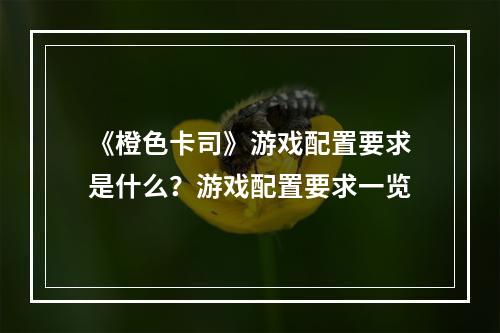 《橙色卡司》游戏配置要求是什么？游戏配置要求一览