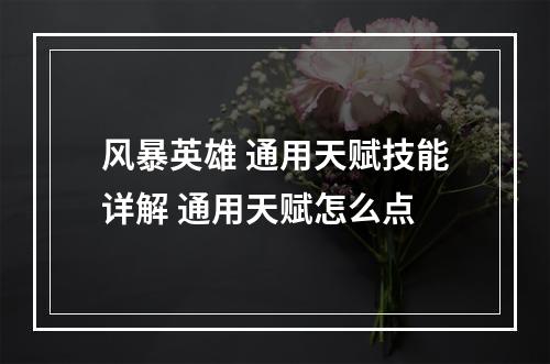 风暴英雄 通用天赋技能详解 通用天赋怎么点