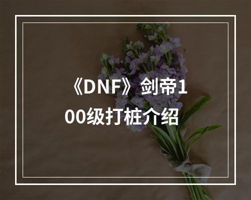 《DNF》剑帝100级打桩介绍