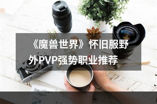 《魔兽世界》怀旧服野外PVP强势职业推荐