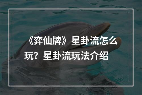 《弈仙牌》星卦流怎么玩？星卦流玩法介绍