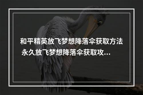 和平精英放飞梦想降落伞获取方法 永久放飞梦想降落伞获取攻略