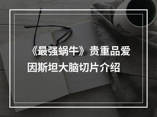 《最强蜗牛》贵重品爱因斯坦大脑切片介绍