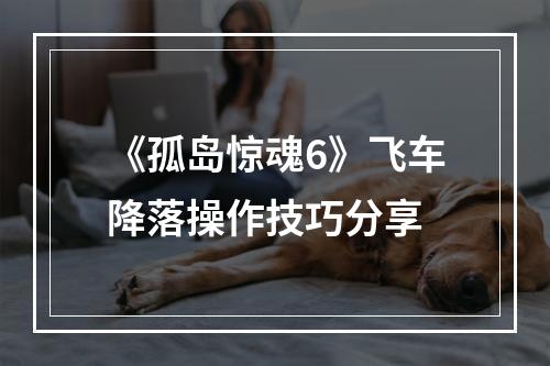 《孤岛惊魂6》飞车降落操作技巧分享