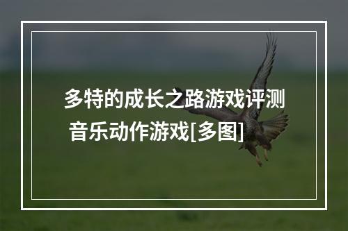 多特的成长之路游戏评测 音乐动作游戏[多图]