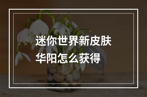 迷你世界新皮肤华阳怎么获得