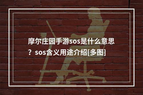 摩尔庄园手游sos是什么意思？sos含义用途介绍[多图]