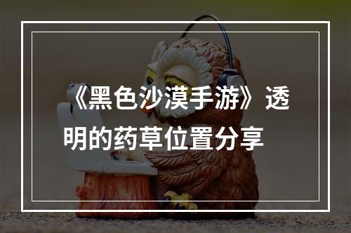 《黑色沙漠手游》透明的药草位置分享