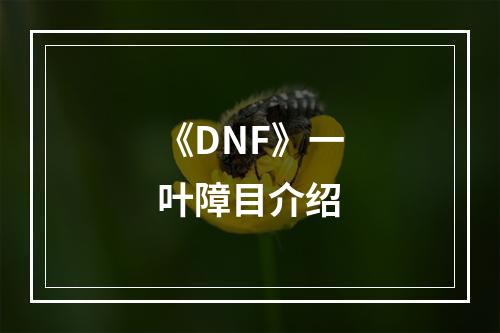 《DNF》一叶障目介绍