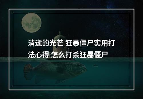 消逝的光芒 狂暴僵尸实用打法心得 怎么打杀狂暴僵尸