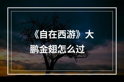 《自在西游》大鹏金翅怎么过