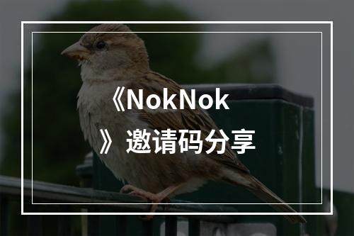 《NokNok》邀请码分享