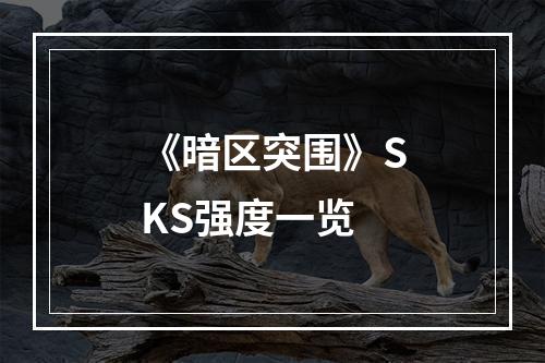 《暗区突围》SKS强度一览