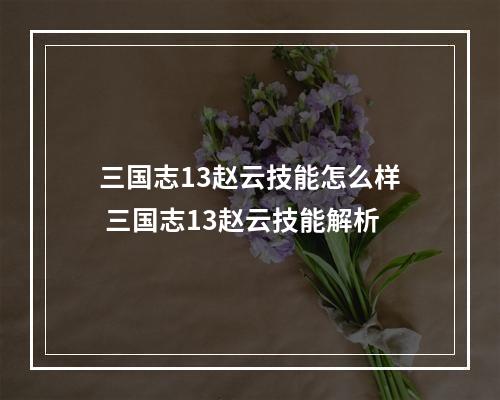 三国志13赵云技能怎么样 三国志13赵云技能解析