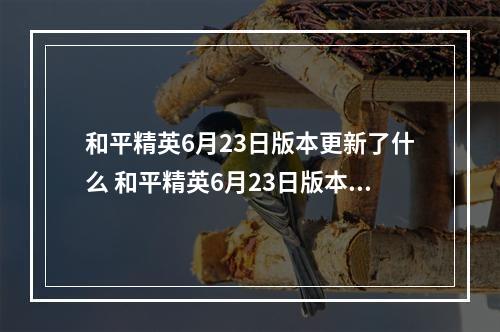 和平精英6月23日版本更新了什么 和平精英6月23日版本更新公告