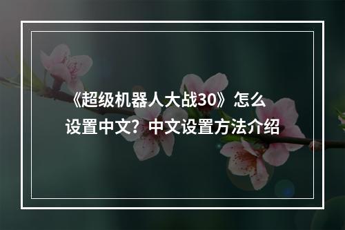 《超级机器人大战30》怎么设置中文？中文设置方法介绍