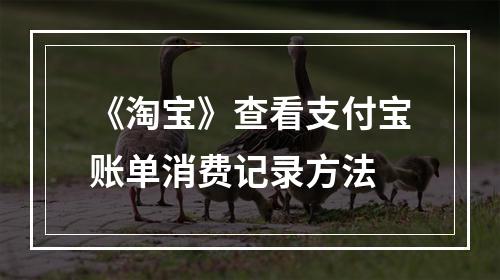 《淘宝》查看支付宝账单消费记录方法