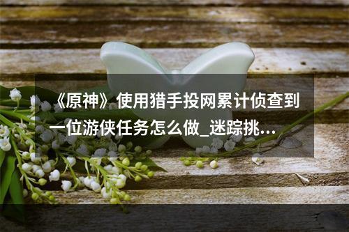 《原神》使用猎手投网累计侦查到一位游侠任务怎么做_迷踪挑战使用猎手投网累计侦查到一位游侠