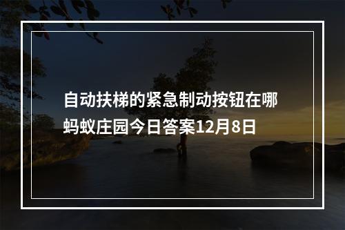 自动扶梯的紧急制动按钮在哪 蚂蚁庄园今日答案12月8日