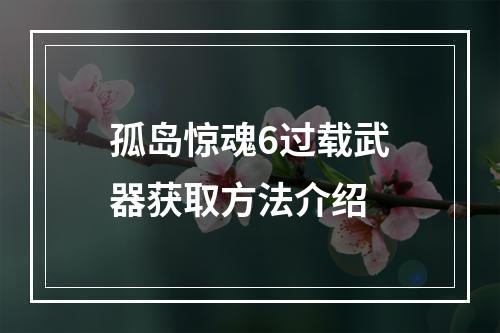 孤岛惊魂6过载武器获取方法介绍