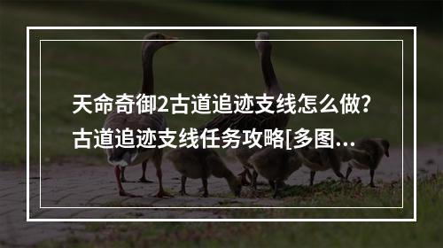 天命奇御2古道追迹支线怎么做？古道追迹支线任务攻略[多图]