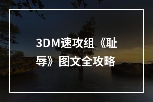 3DM速攻组《耻辱》图文全攻略