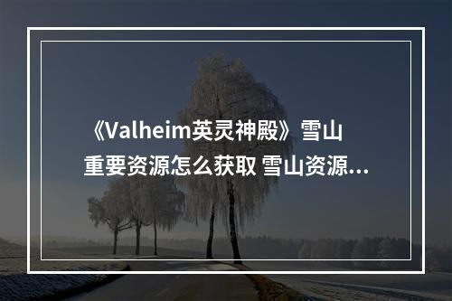 《Valheim英灵神殿》雪山重要资源怎么获取 雪山资源获取技巧