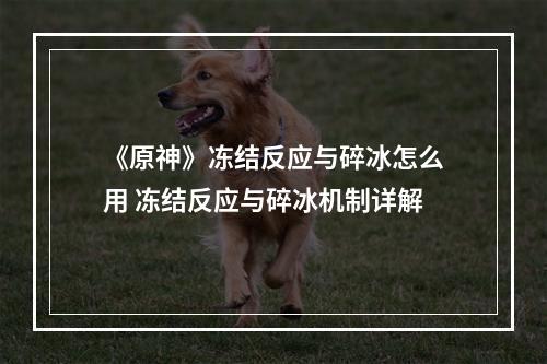 《原神》冻结反应与碎冰怎么用 冻结反应与碎冰机制详解