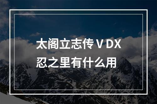 太阁立志传ⅤDX忍之里有什么用