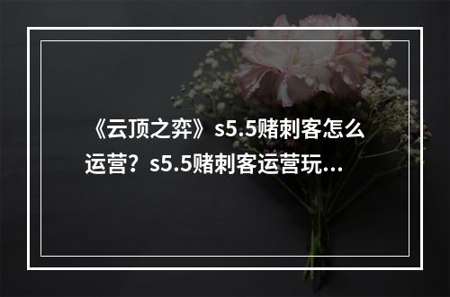 《云顶之弈》s5.5赌刺客怎么运营？s5.5赌刺客运营玩法推荐