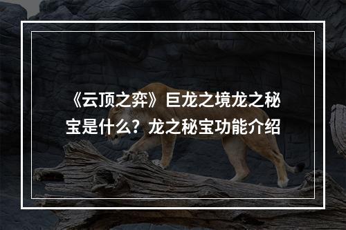 《云顶之弈》巨龙之境龙之秘宝是什么？龙之秘宝功能介绍