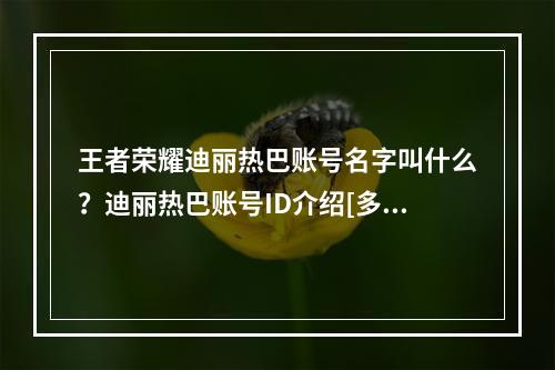 王者荣耀迪丽热巴账号名字叫什么？迪丽热巴账号ID介绍[多图]