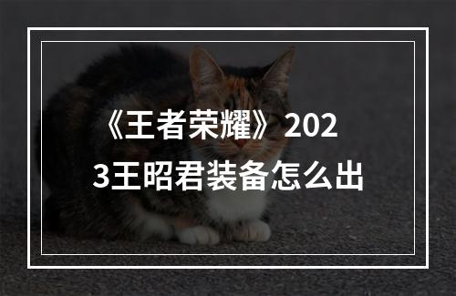 《王者荣耀》2023王昭君装备怎么出